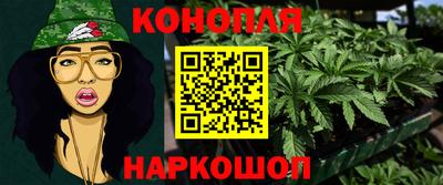трава Новодвинск